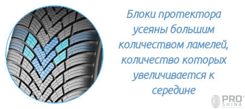 Barum Polaris 6