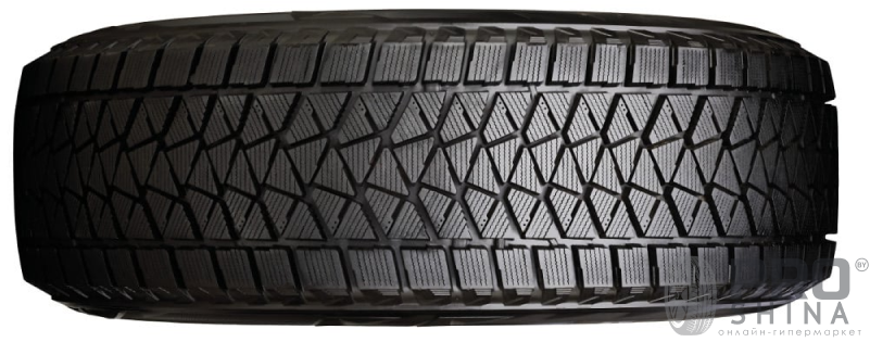 Bridgestone Blizzak DM-V2