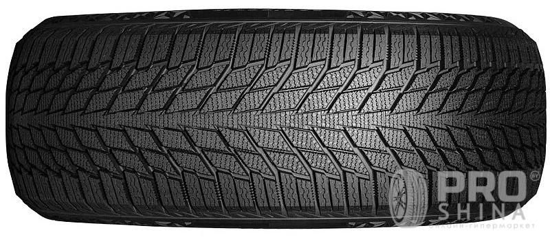 NEXEN WinGuard Ice 3
