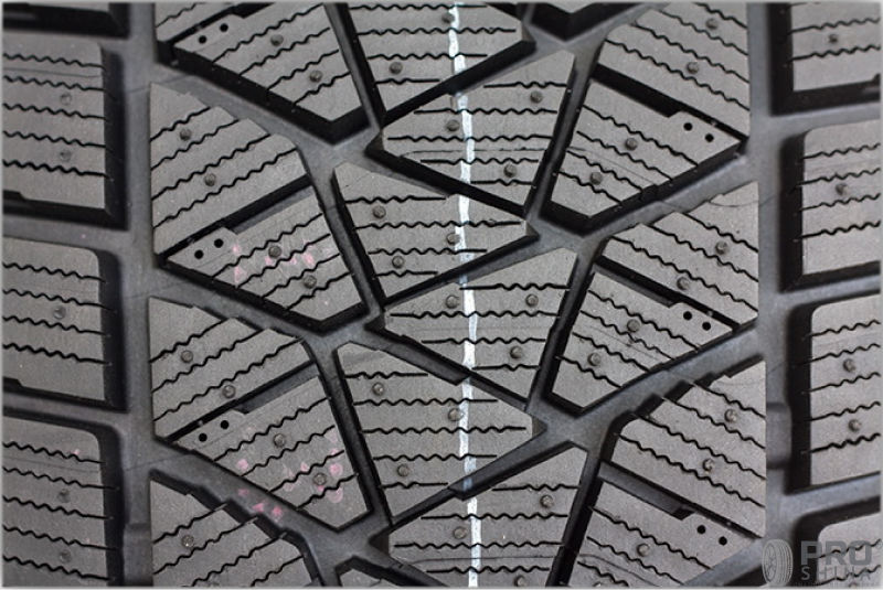 Bridgestone Blizzak DM-V2