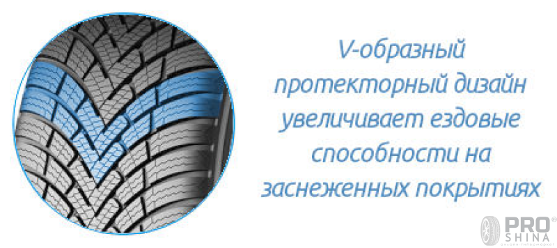 Barum Polaris 6