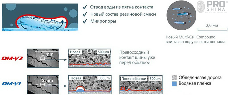 Bridgestone Blizzak DM-V2