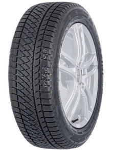 Winter Pro TSS2