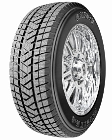 Gripmax Stature M/S 255/50R19 107V