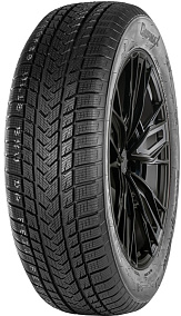 Gripmax SureGrip eWinter 225/45R17 94V