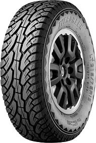 Evergreen EW62 205/60R16 96H