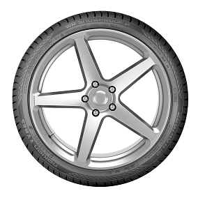 Nokian WR Snowproof P 225/40R19 93V