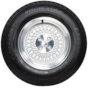 Landsail Snow Star 205/65R16C 107/105T