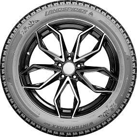 Landspider Wintertraxx SUV 245/55R19 103T