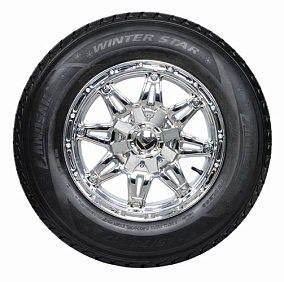 Landsail Winter Star 225/65R17 102H
