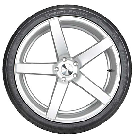 Delinte DS8 225/35R20 93W